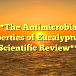 **The Antimicrobial Properties of Eucalyptus: A Scientific Review**