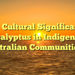 **The Cultural Significance of Eucalyptus in Indigenous Australian Communities**