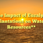 **The Impact of Eucalyptus Plantations on Water Resources**